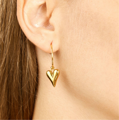 Gold Hook Round Drop Heart Stud Earrings